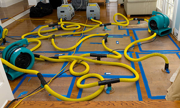 Professional Water Damage Repair technician working in Kingman, KS